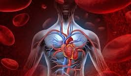 آهن حیاتی ترین ماده بدن
